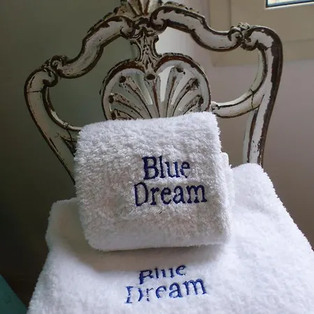 Blue Dream Guest house Cannes